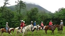 Horseback Riding to Arenal Volcano with Hot Springs
