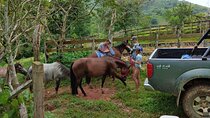 Panamá's Farming Region on horseback