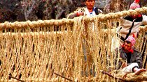 Q’eswachaka Bridge Tour – Full Day Tour of the Last Inca Bridge.