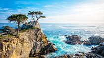 BEST of Monterey Peninsula & Carmel-by-the-Sea Small Group Tour