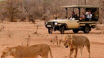 3 Day Kruger National Park Safari from Johannesburg Tour