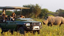 Full day - Hluhluwe Imfolozi Game Reserve 1 Day Tour From Durban
