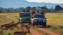 2 Day Safari Isimangaliso Wetland Park & Hluhluwe Imfolozi from Durban