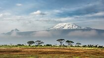 7-Day Kilimanjaro Small-Group Trekking via Machame Route