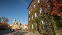 Half-Day Guided Wawel Tour and Vistula River Cruise with Lunch