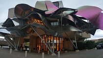 Full-Day Rioja Wineries Tour from Madrid with Pickup and Drop off