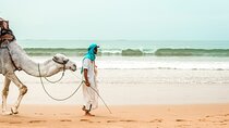  Sunset Camel Ride in Agadir Beach with BBQ