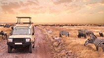 5 days safari, hiking & culture (Serengeti & kilimanjaro)