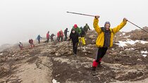 6 Day Kilimanjaro Shared Trekking (Machame Route)