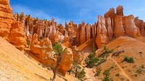 Zion & Bryce Canyon National Parks Day Tour from Las Vegas
