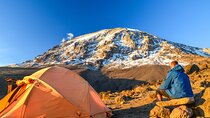 Hiking Mt Kilimanjaro 7 days scenic route & moderate challenge