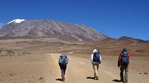 Hiking Mt Kilimanjaro 8 days, the most scenic route up Kili