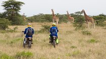 6 days off-road motorbike wildlife tour of the Great Rift Valley Lakes 