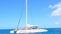 Full Day Tour Saona Island by speedboat from Punta Cana
