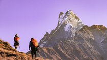 Mardi Himal Trek