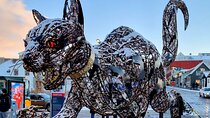 The Reykjavik Cat Walking Tour