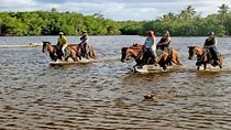 Horseback Riding to Maimon River from Punta Cana