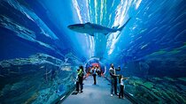 Dubai Aquarium and Underwater Zoo