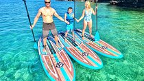 Private Stand Up Paddle Boarding Tour in Turtle Town, Maui