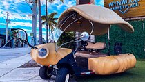 1 Hour Lady Buggy Art Tour Experience in Wynwood