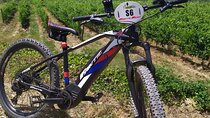 Private Guided Tour by E-Bike and Electric MTB in Fiesole