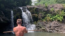 Full-Day Road to Hana and Waterfall Tour