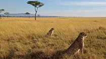 3-Day Masai Mara Group Joining Safari Adventure