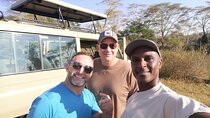 7 Days Best of Kenya Wildlife Safari