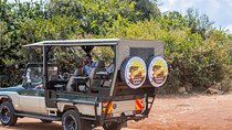 Nairobi National Park 4*4 Open Safari Jeep Rental