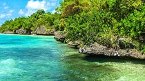 Exotic East of Mauritius: Full-day incl Ile aux Aigrette & Blue-Bay Marine Park