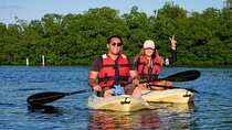 Kayaking Tour in Cancun