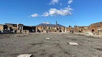Full-Day Pompeii And Mt.Vesuvius Hike from Naples