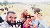 Highly recommended multi day tour in Sri Lanka