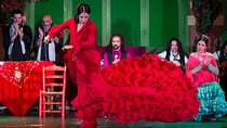 Flamenco Show and Tapas Dinner