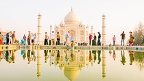 Delhi Agra Jaipur Tour with Ranthambore - Tiger Safari Tour 8-Days