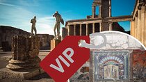 Discovering Pompeii and Herculaneum - VIP Tour with Lunch 