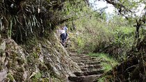 Short Inca Trail To Machu Picchu 2 Days and 1 Night