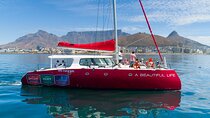 1- Hour Catamaran Cruise Cape Town