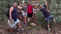 Tijuca National Park and all its wonders