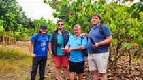 Cacao and Gastronomy Tour from Guayaquil