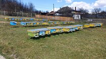 8 hours Private Apiary Tour in Romania - From Bucharest