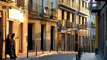 Lavapiés: The most multicultural neighbourhood of Madrid, Private Walking Tour