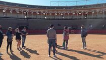 Seville Bullring: Guided Tour with Direct Entry