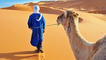 4 Day Desert tour from Marrakech to Fez