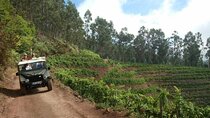 4x4 Safari Half day Poncha, Mountains, Vineyards and Cabo Girão Small group