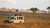 5-Day Private Camping Tarangire Serengeti Crater Manyara