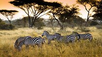 4 Days / 3 Nights Lake Manyara, Ngorongoro and Serengeti
