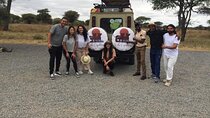 4 days safari in Tanzania