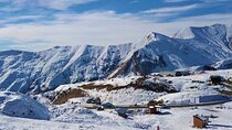 Gudauri Tour with Sabaduri Forest, Ananuri, Panorama Gudauri