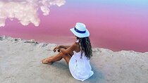 Amazing Natural Pink Lake, Las Coloradas Tour! Round Transportation from Cancun